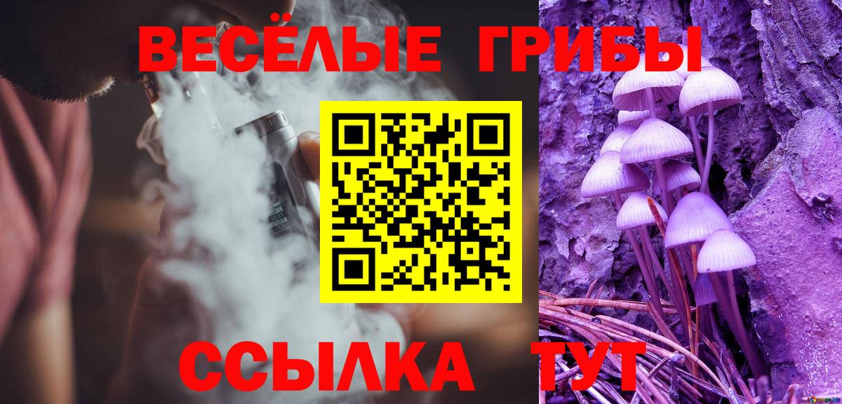 Псилоцибиновые грибы MAGIC MUSHROOMS  Вход с VPN  Богородск 