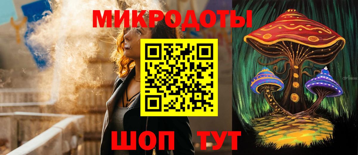 Псилоцибиновые грибы Psilocybe Богородск